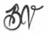 bv bv logo